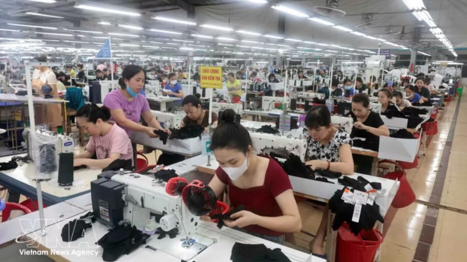 Vietnam takes major step toward sustainable business development: ILO